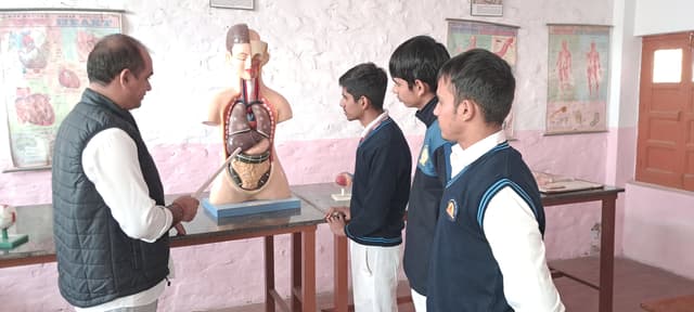 labs-1